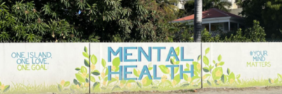 IMPROVING MENTAL HEALTH SERVICES PROJECT